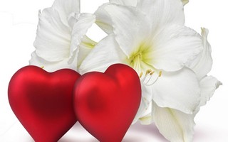 Valentines_Day 126.jpg